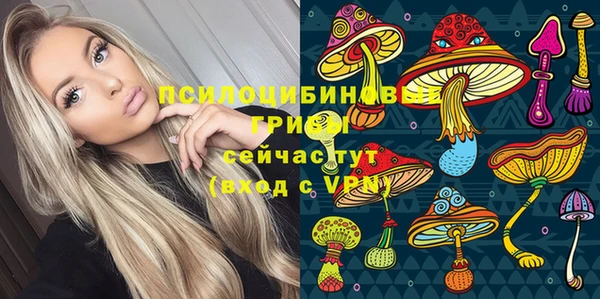 первитин Горняк