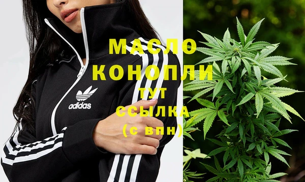 первитин Горняк